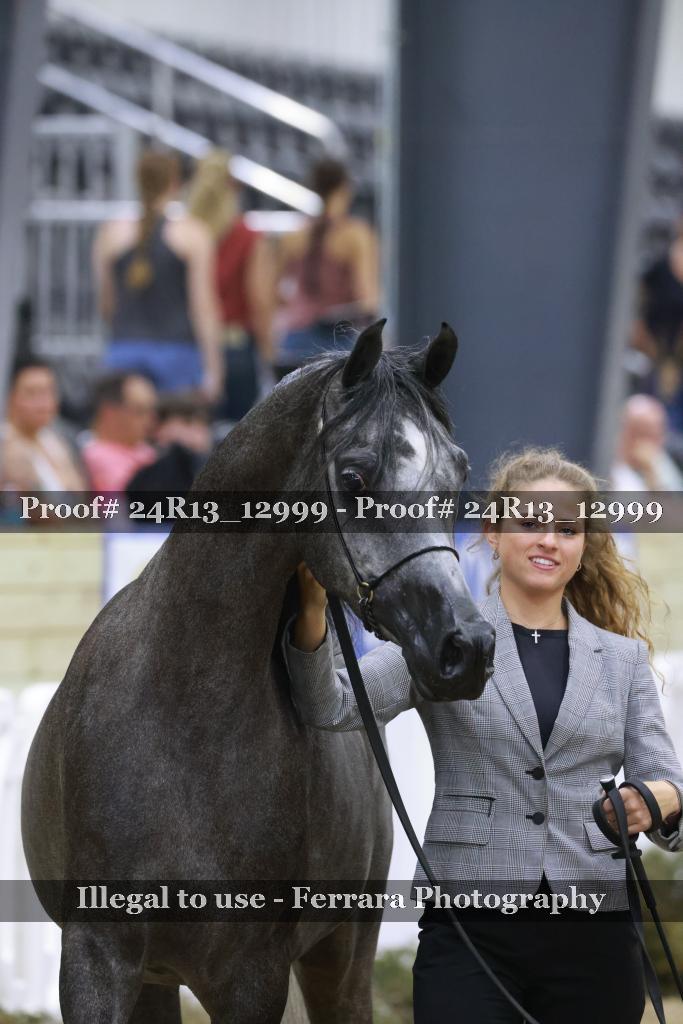 Proof 24R13_12999