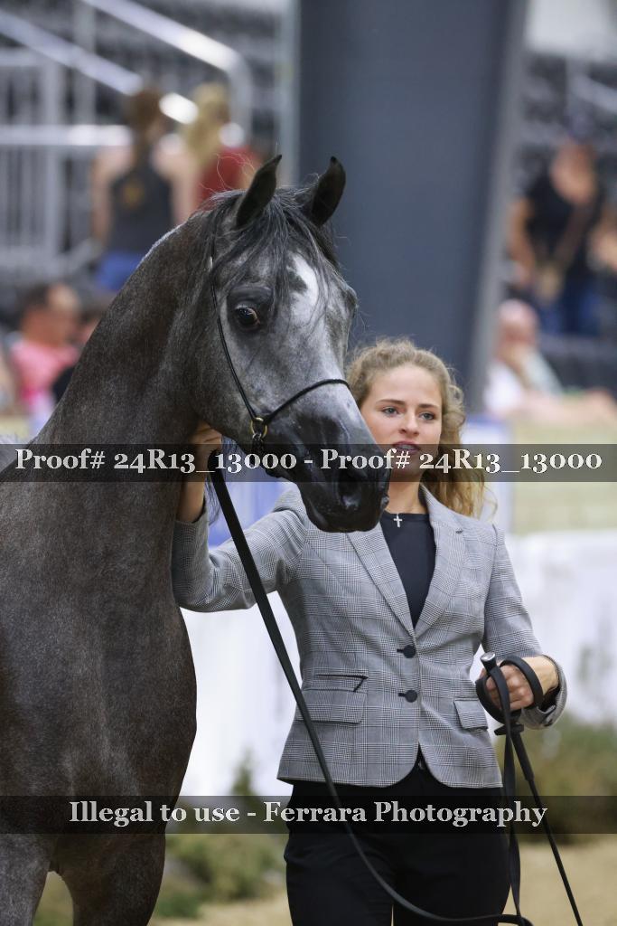 Proof 24R13_13000