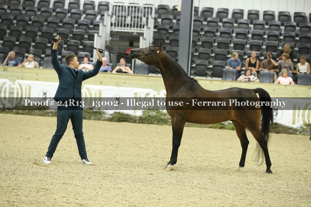Proof 24R13_13002