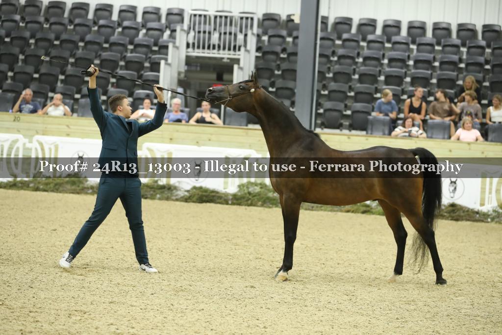 Proof 24R13_13003