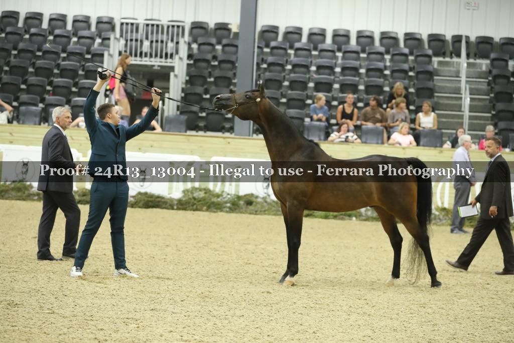 Proof 24R13_13004