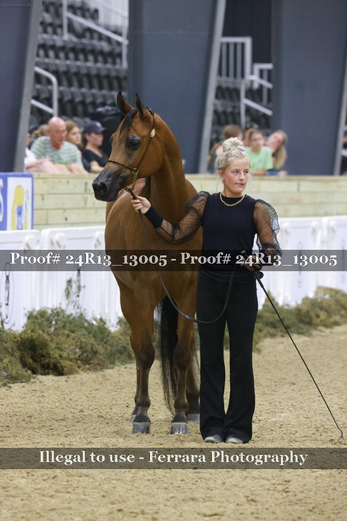 Proof 24R13_13005