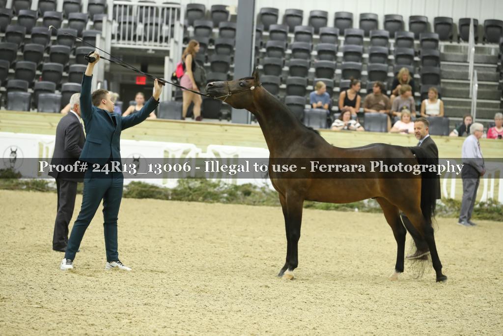 Proof 24R13_13006