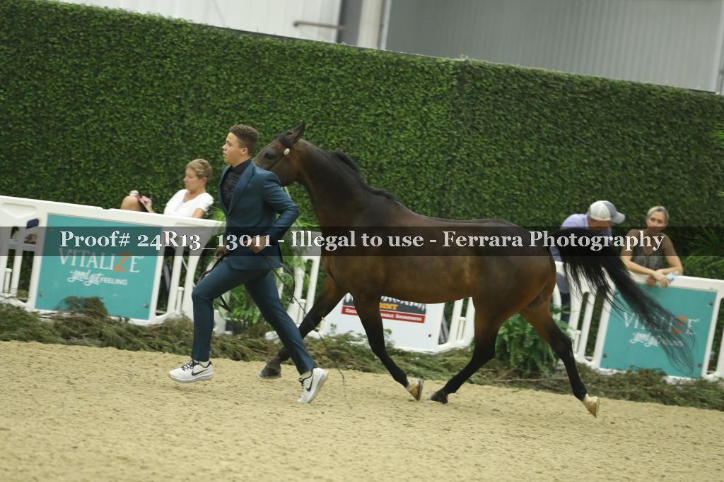Proof 24R13_13011
