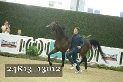 24R13_13012 proof