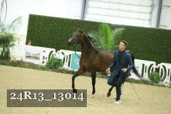 24R13_13014 proof