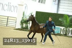 24R13_13015 proof