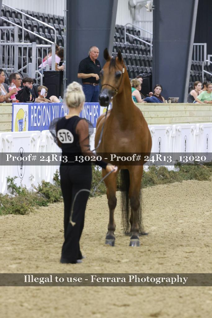 Proof 24R13_13020