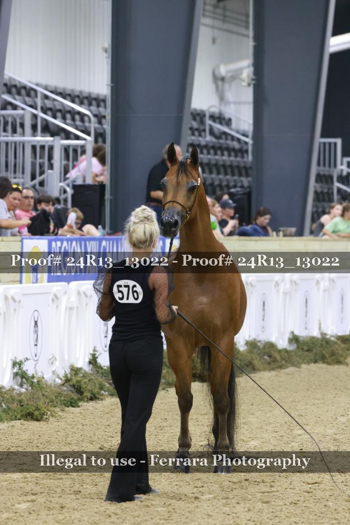 Proof 24R13_13022