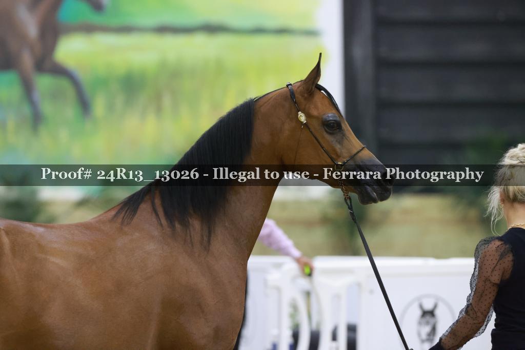 Proof 24R13_13026
