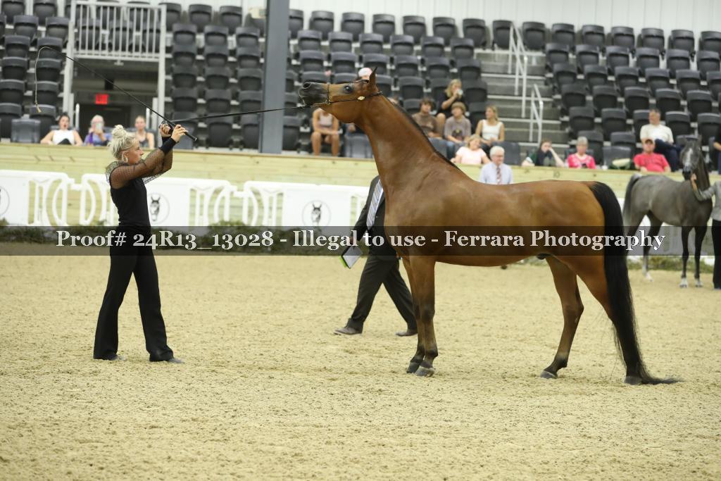 Proof 24R13_13028