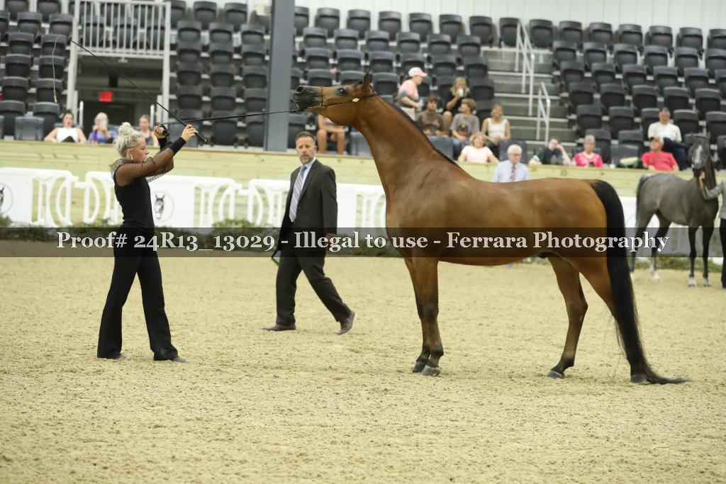 Proof 24R13_13029