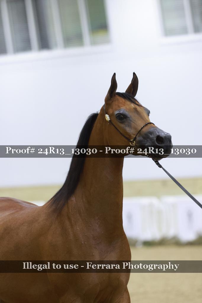 Proof 24R13_13030