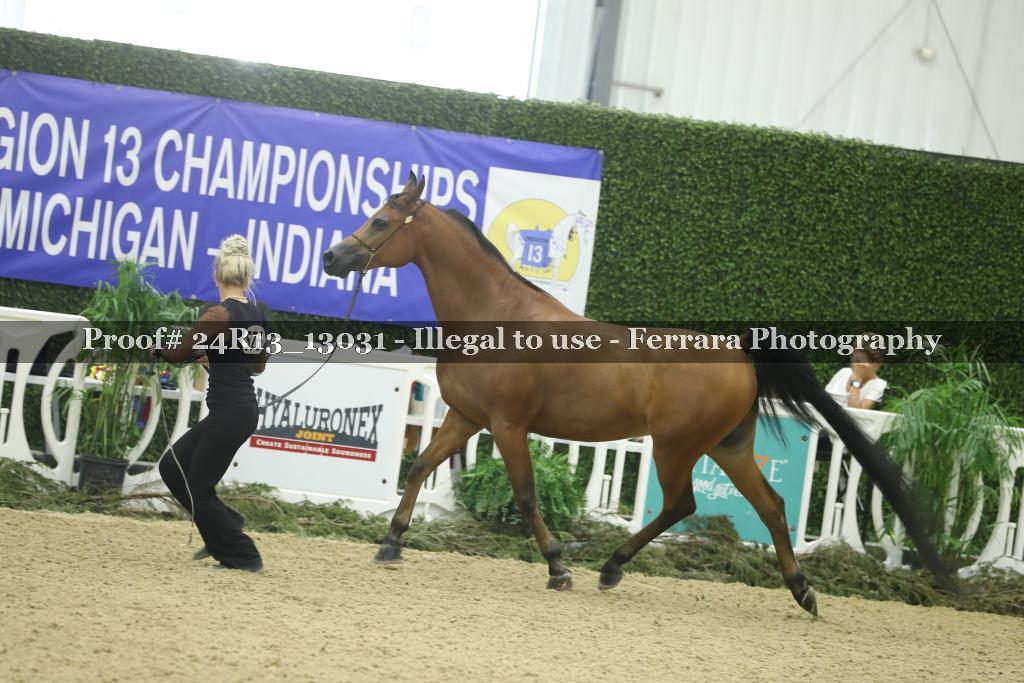 Proof 24R13_13031