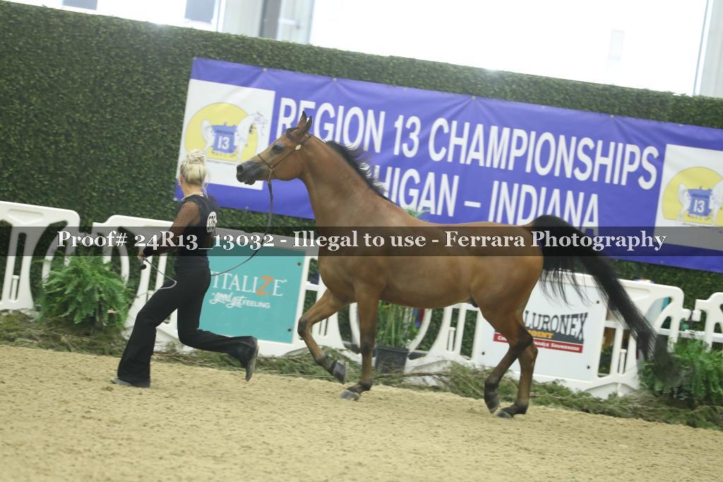 Proof 24R13_13032