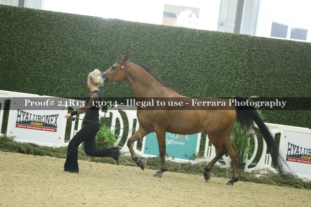 Proof 24R13_13034