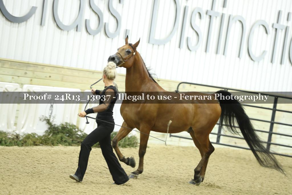 Proof 24R13_13037