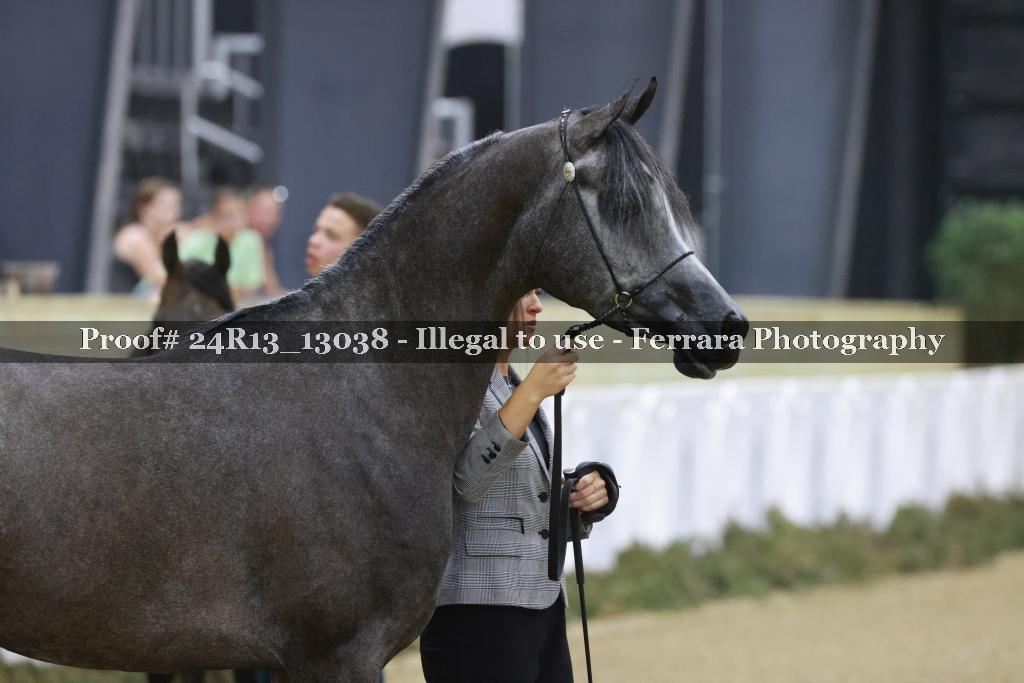 Proof 24R13_13038