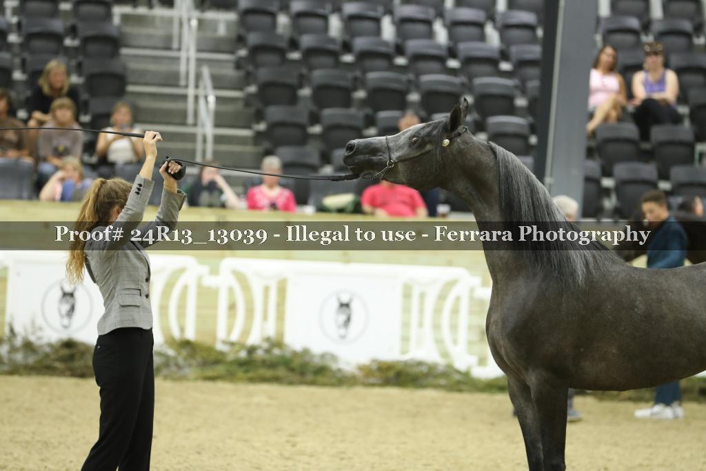 Proof 24R13_13039
