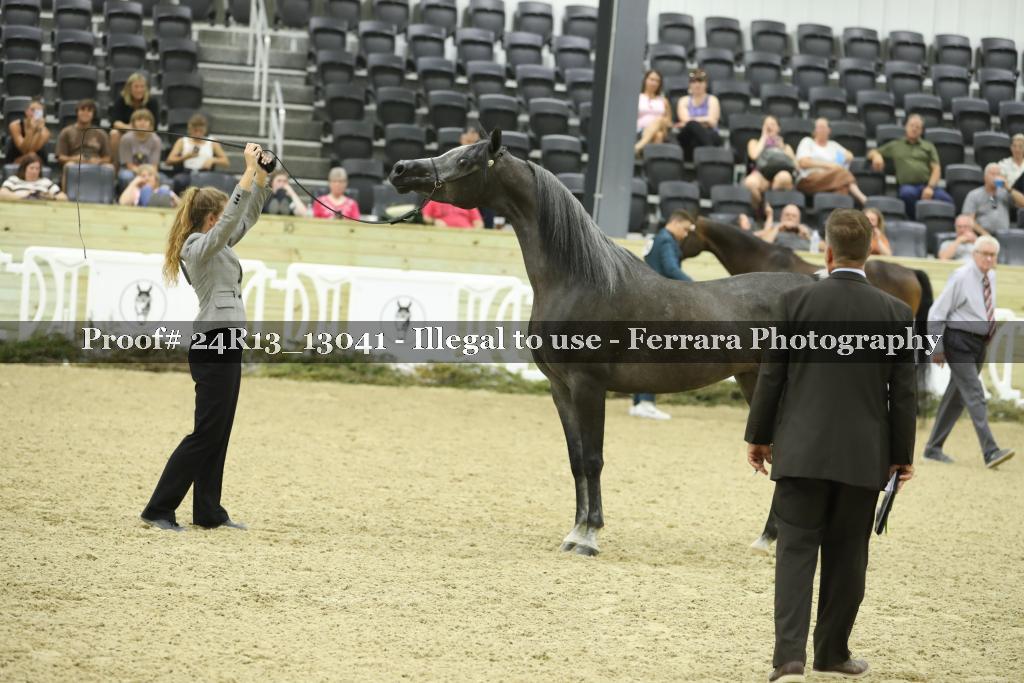 Proof 24R13_13041
