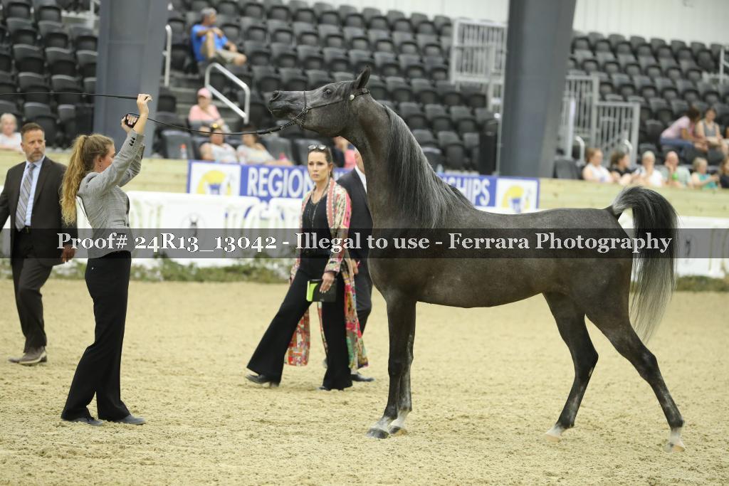 Proof 24R13_13042