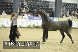 24R13_13043 proof