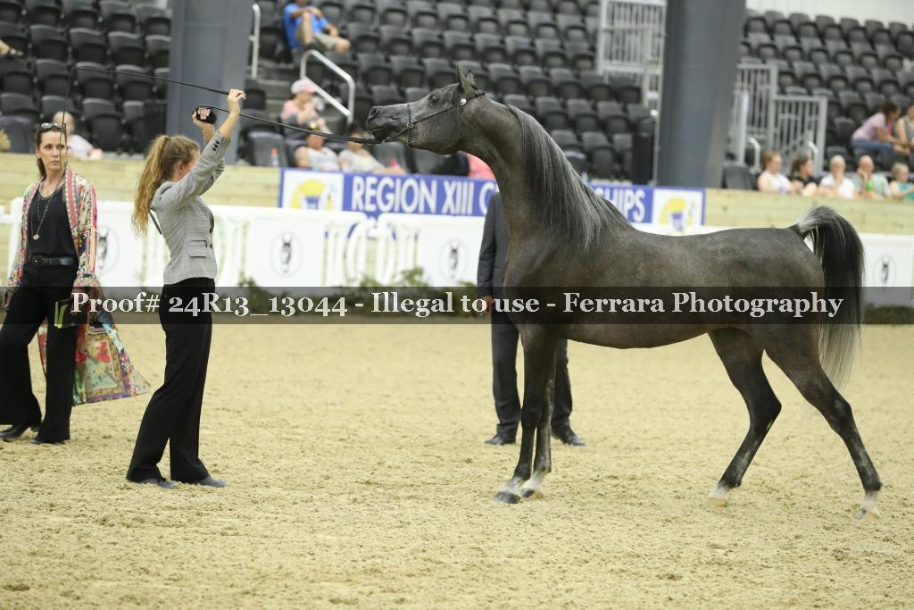 Proof 24R13_13044