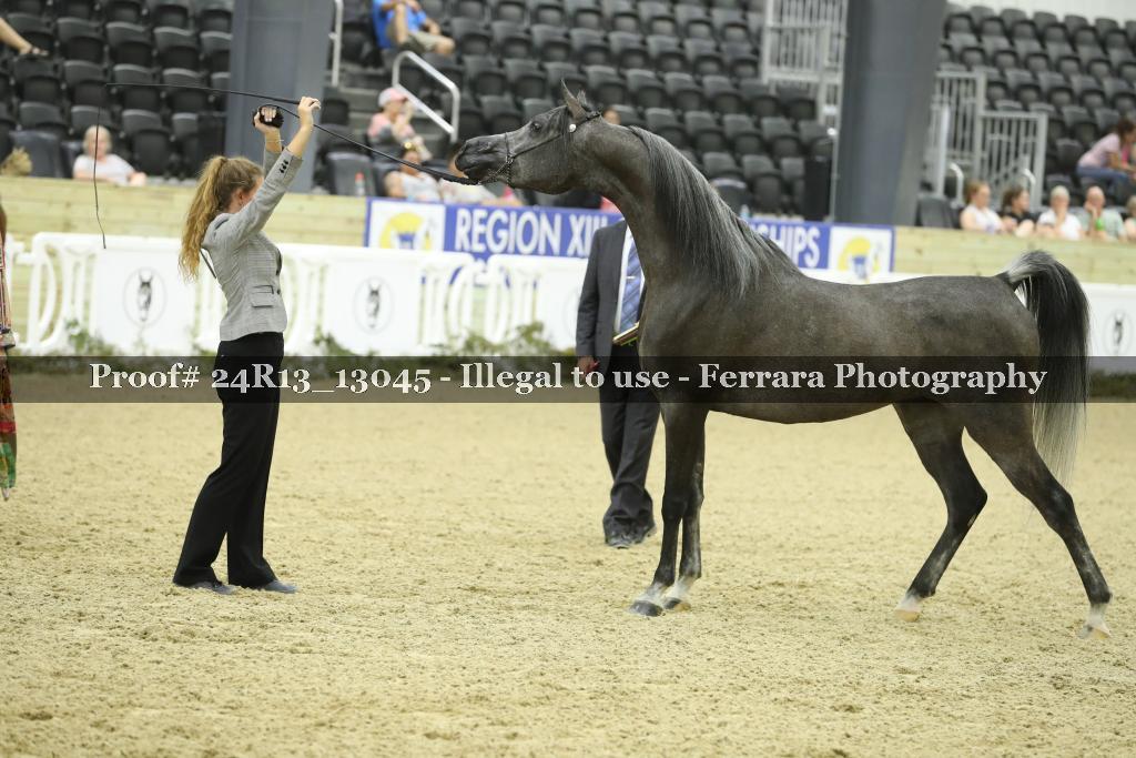 Proof 24R13_13045
