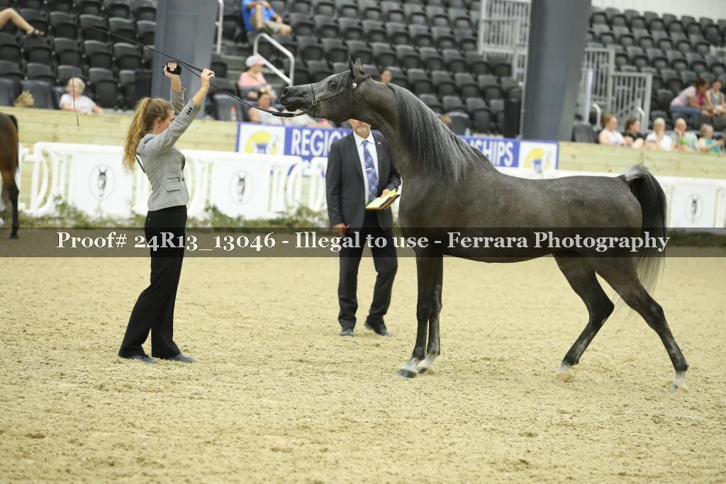 Proof 24R13_13046