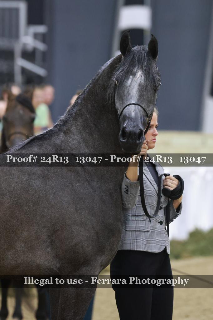 Proof 24R13_13047