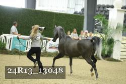 24R13_13048 proof