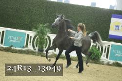 24R13_13049 proof
