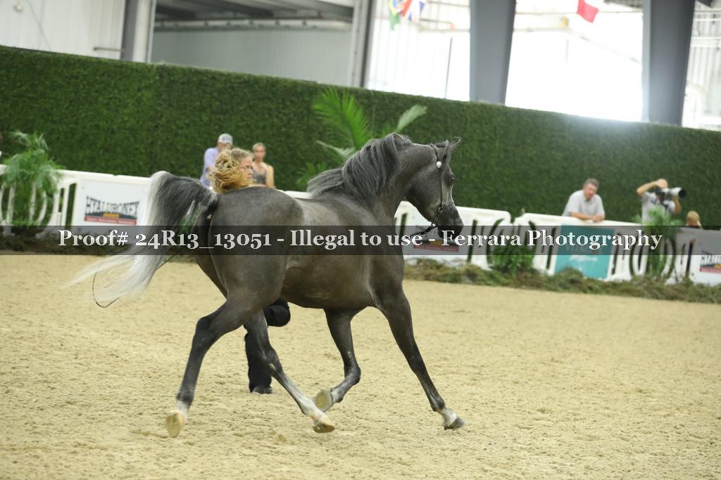 Proof 24R13_13051