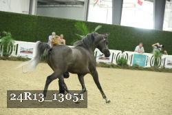 24R13_13051 proof