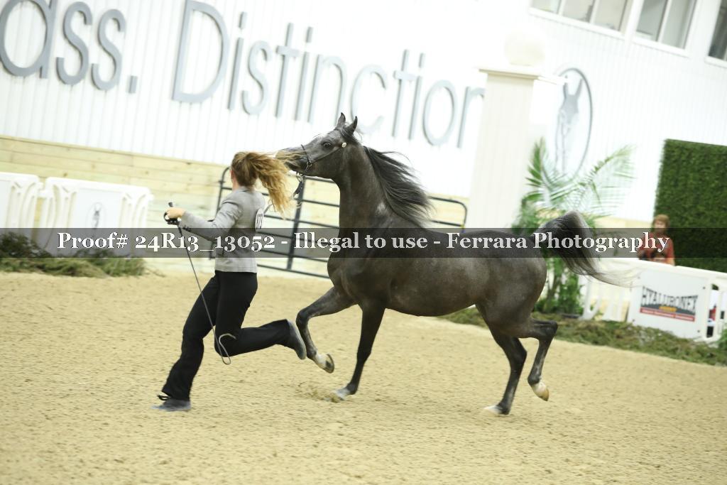 Proof 24R13_13052
