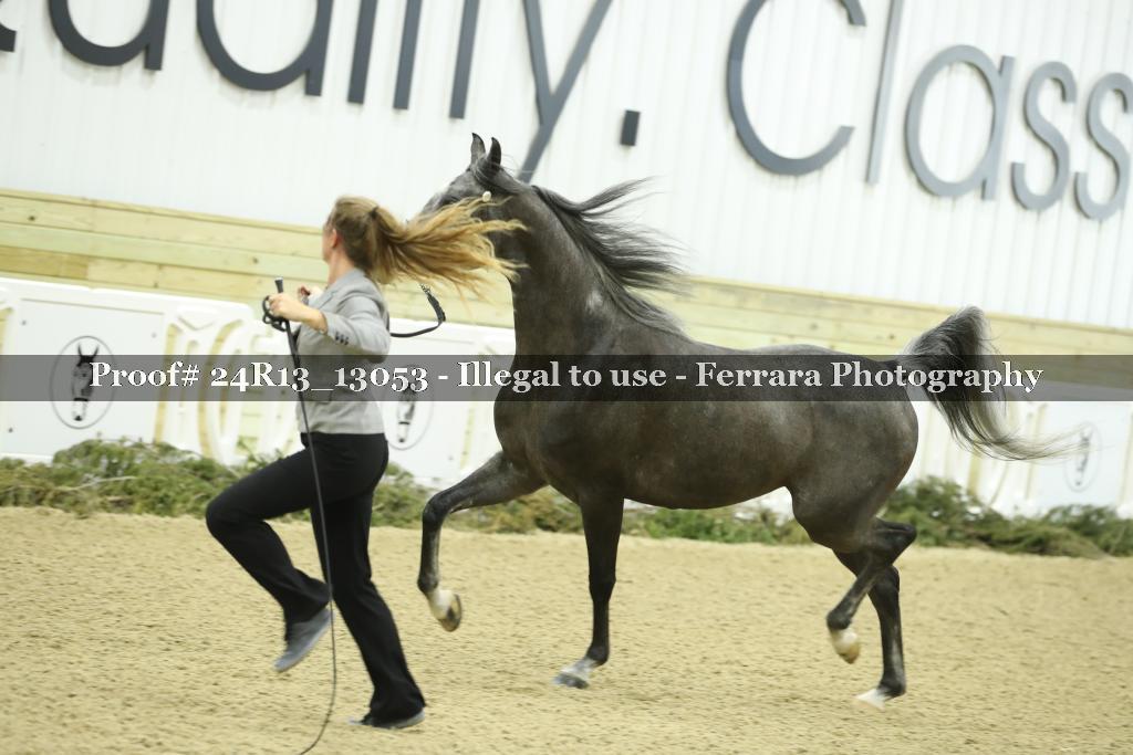 Proof 24R13_13053