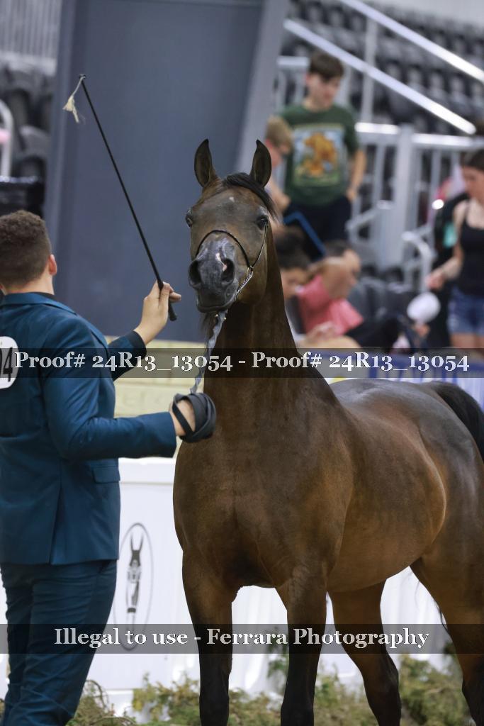 Proof 24R13_13054