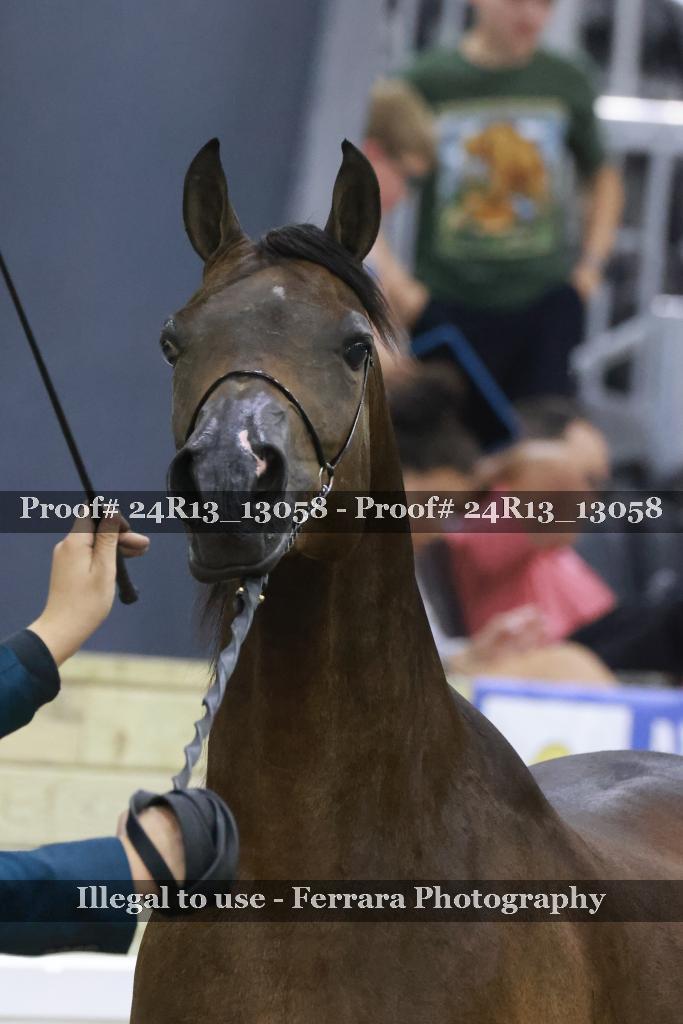 Proof 24R13_13058