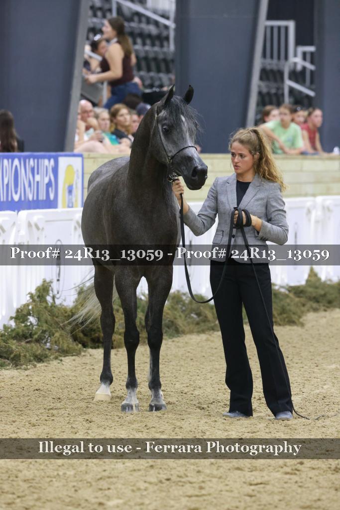 Proof 24R13_13059