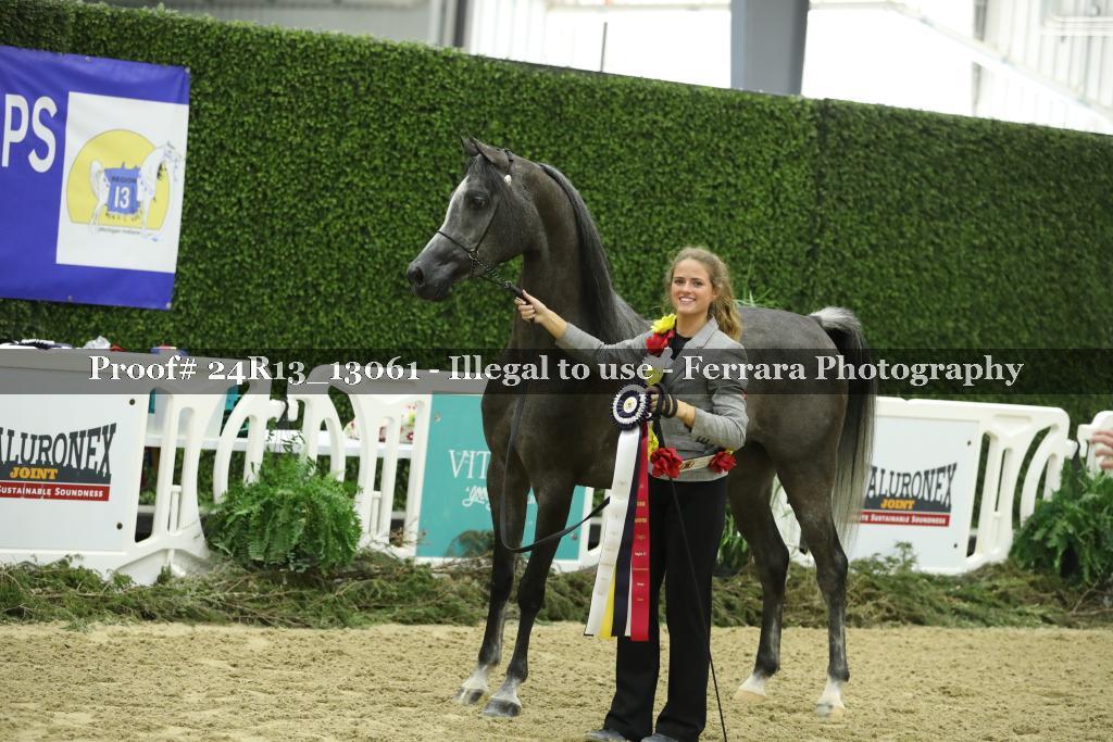 Proof 24R13_13061