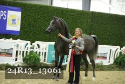 24R13_13061 proof