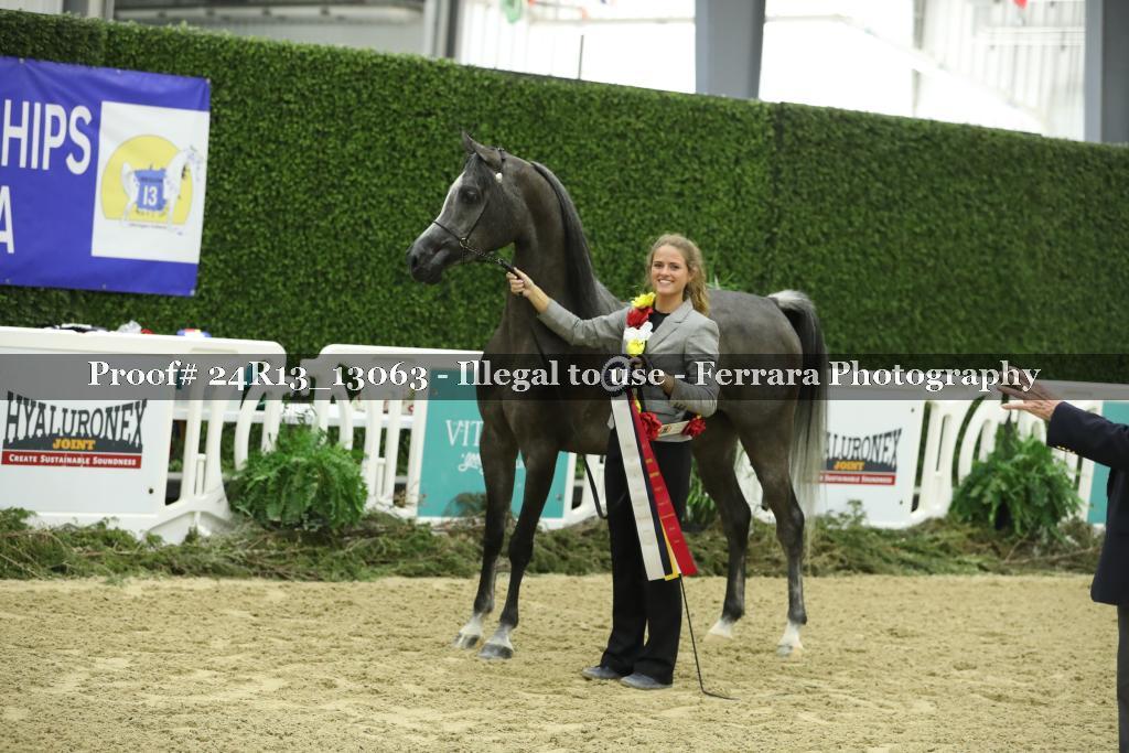 Proof 24R13_13063