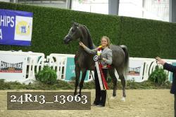 24R13_13063 proof