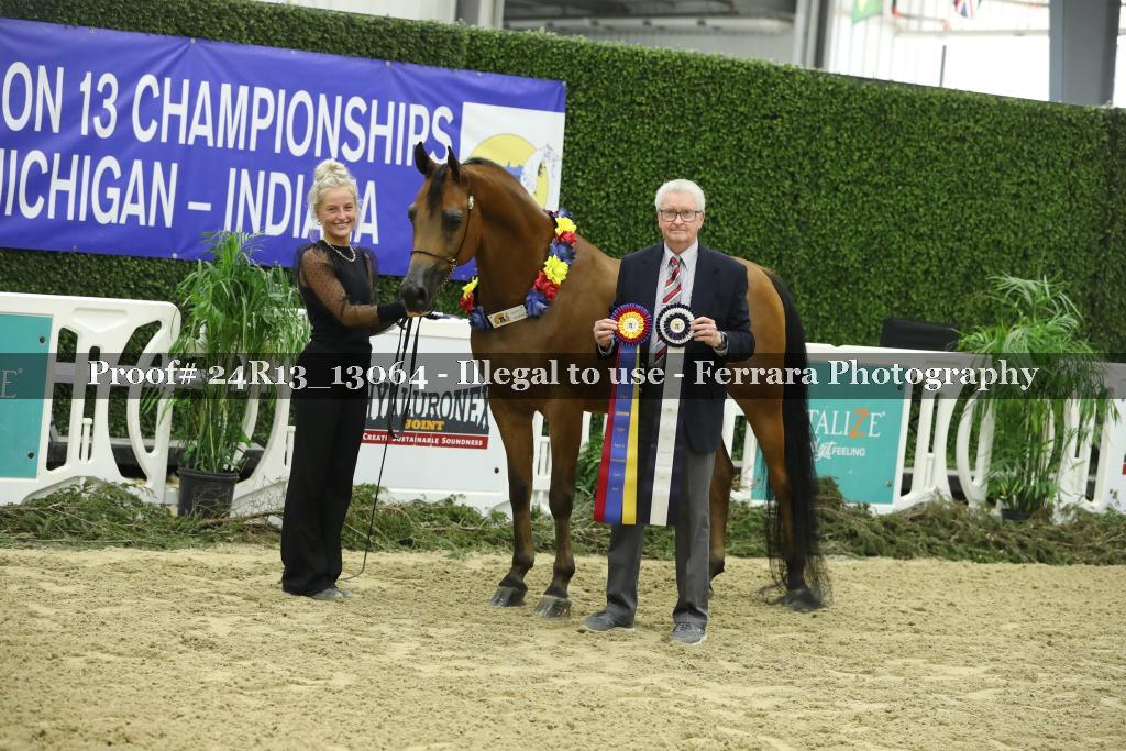 Proof 24R13_13064