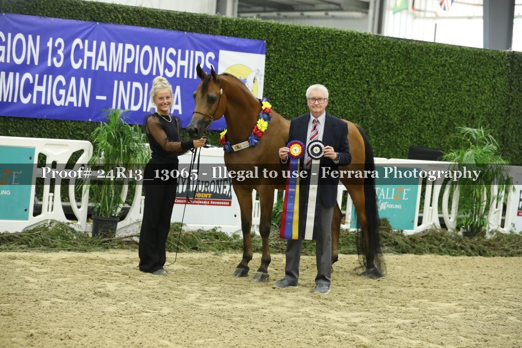 Proof 24R13_13065