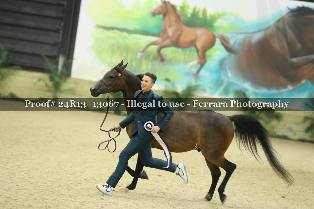 Proof 24R13_13067