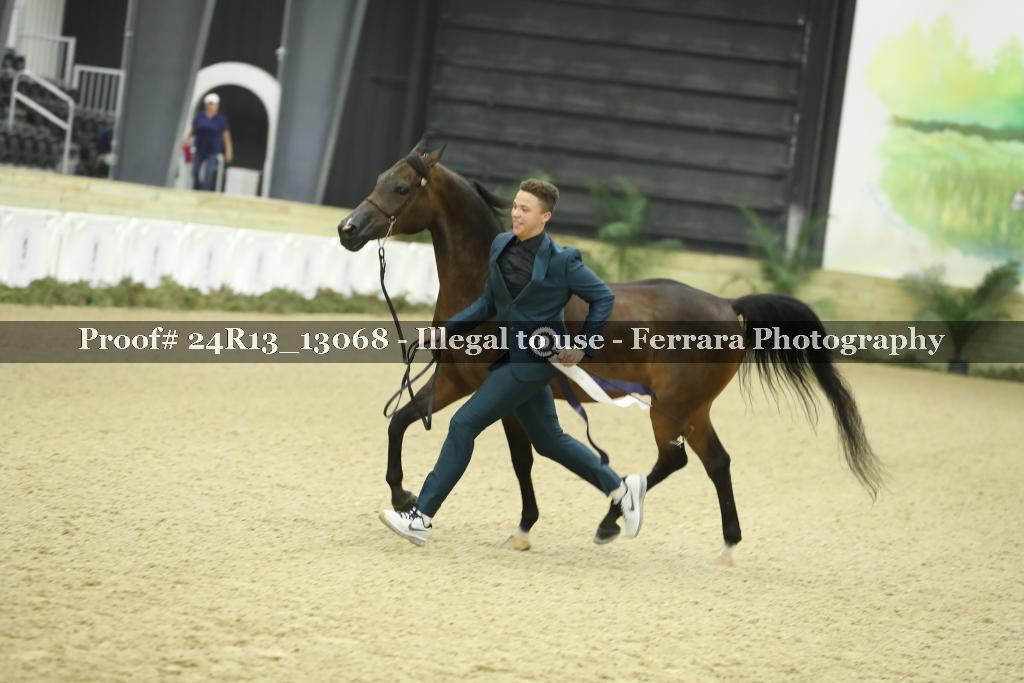 Proof 24R13_13068