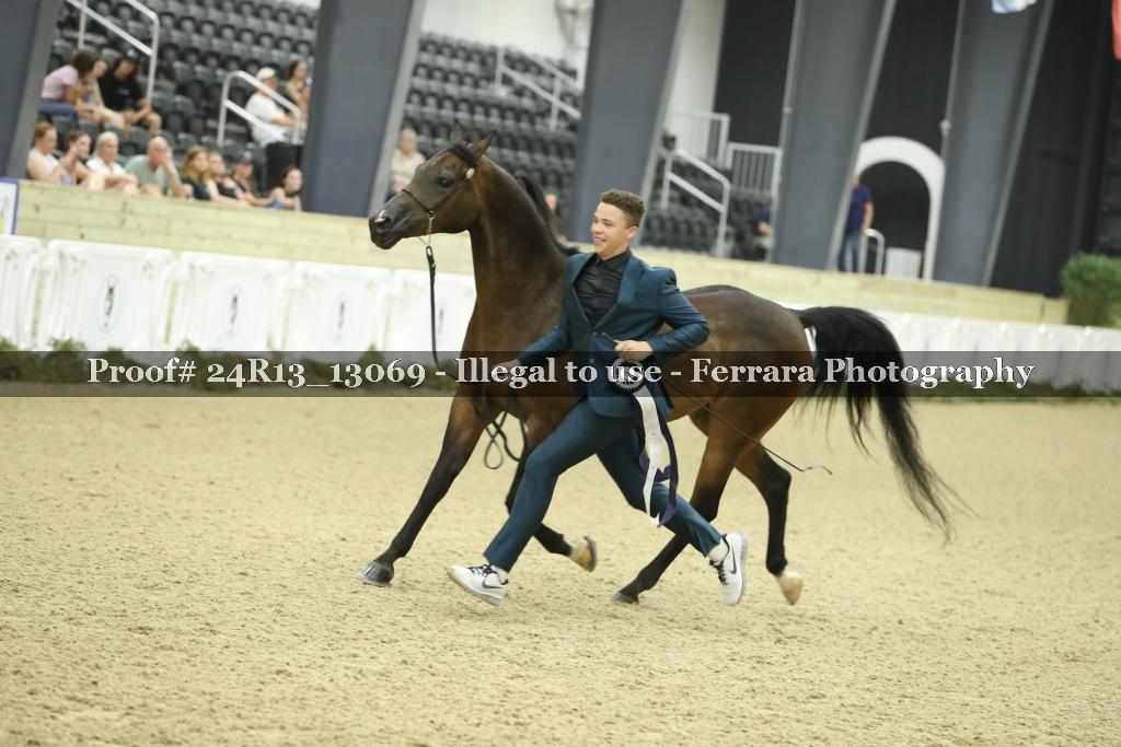 Proof 24R13_13069