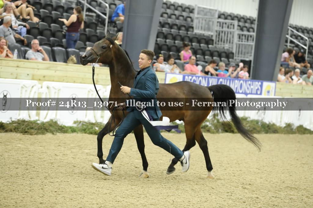 Proof 24R13_13071