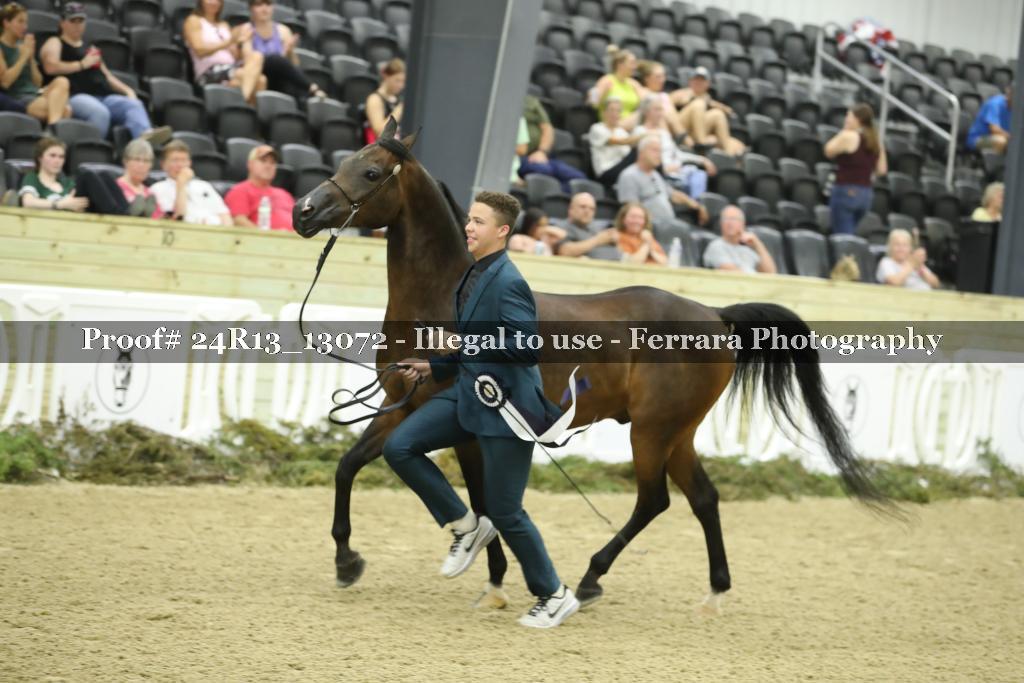 Proof 24R13_13072
